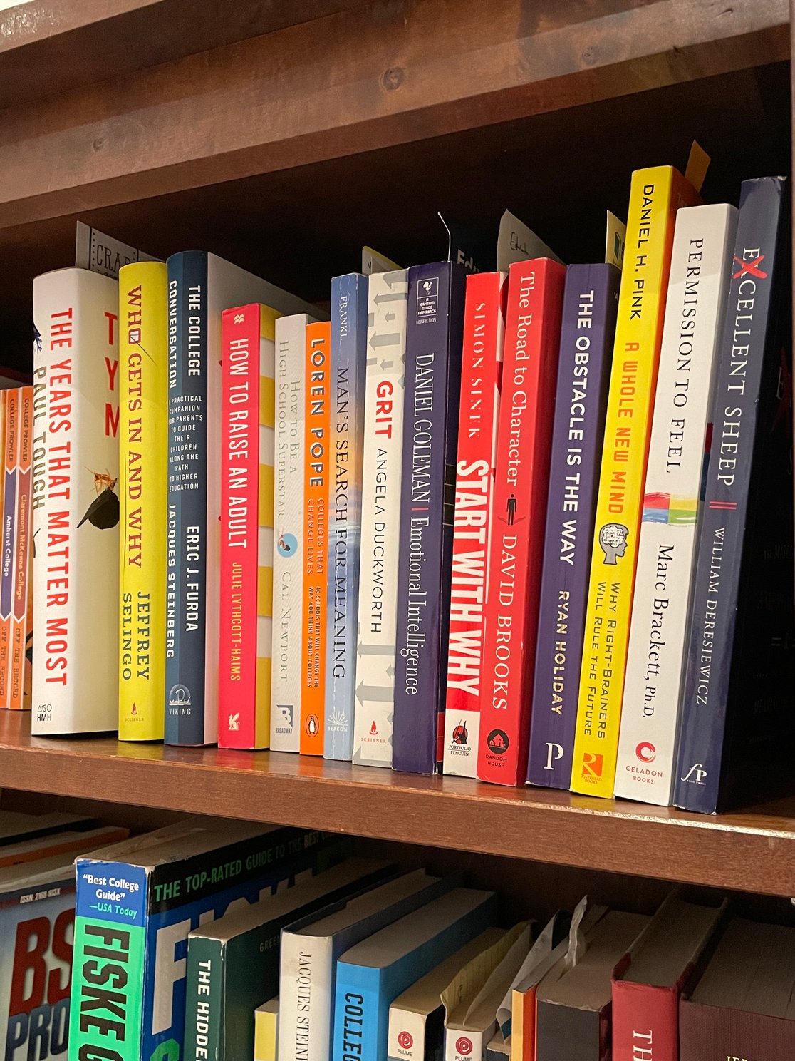 collegebookshelf2