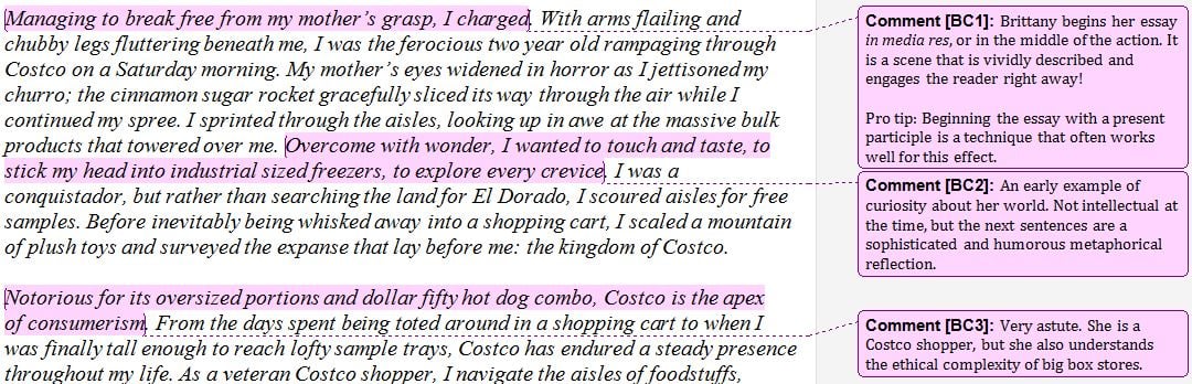 the costco college essay