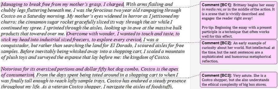 how to write the best college essay costco